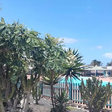 Casa Alice Cocosol Holiday home Costa De Antigua