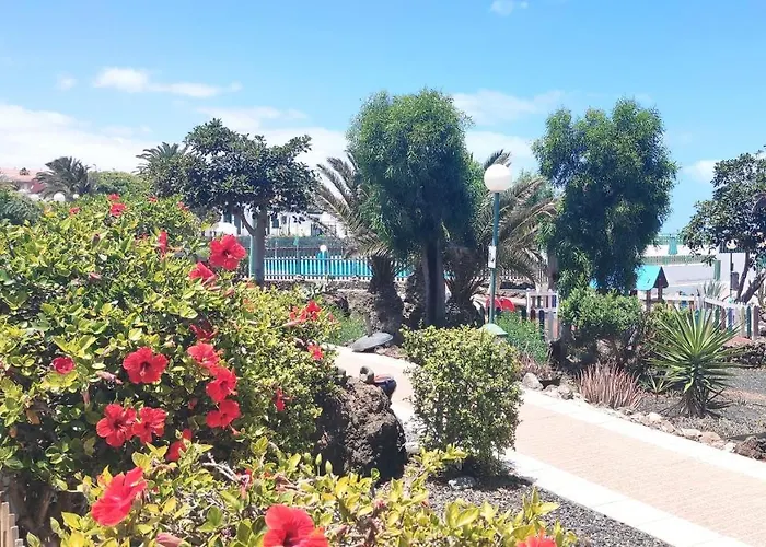 Casa Alice Cocosol Nyaraló *